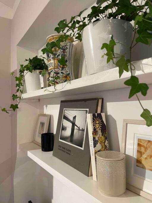Romantic Attic Room With Panoramic View Μπολόνια Εξωτερικό φωτογραφία